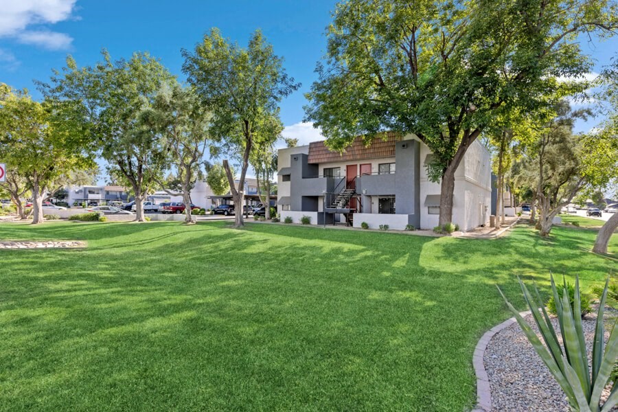 a grassy area with trees and buildings in the background